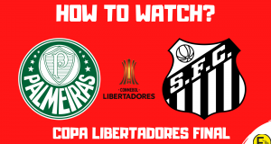 Palmeiras vs Santos Copa Libertadores Final