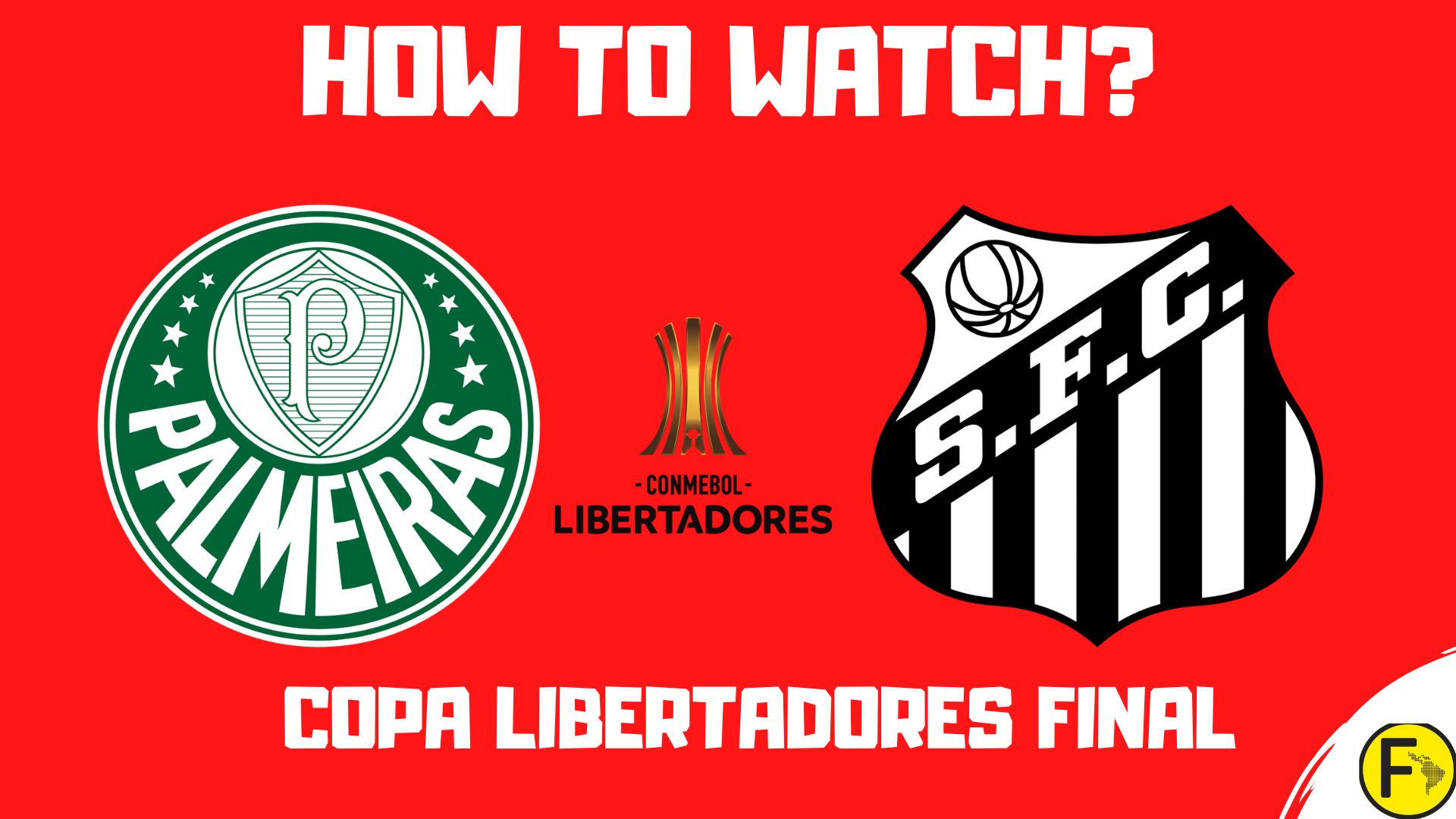 Palmeiras vs Santos Copa Libertadores Final